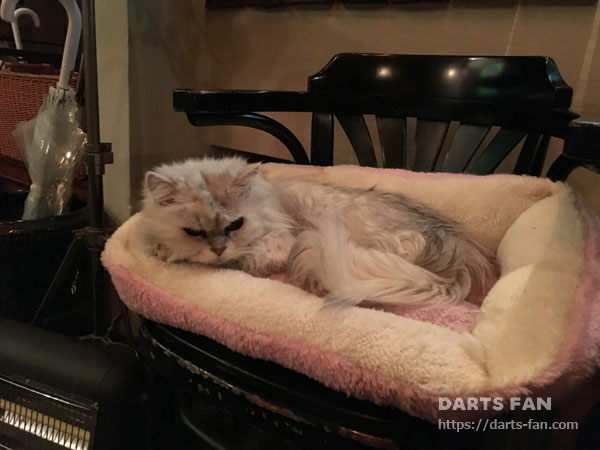 ショップイメージ